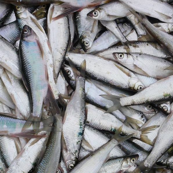 星空·综合体育