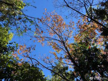 《Hello Neighbor》设定为恐怖游戏 看到邻居还是笑了【星空·综合体育】(图1) 星空·综合体育