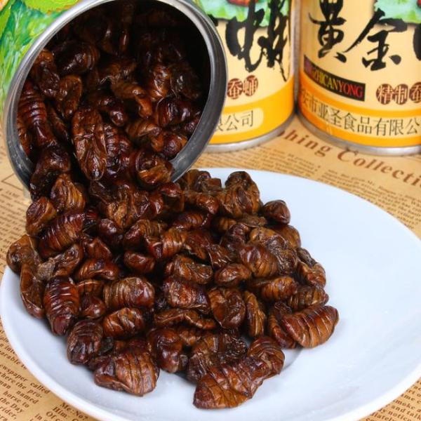 星空综合:
张近东818前探访物流、客服一线 首次解读“专注好服务”(图2) 星空·综合体育