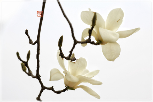 星空综合-《刺客信条 起源》包含拍照模式 还内置导游(图3) 星空·综合体育