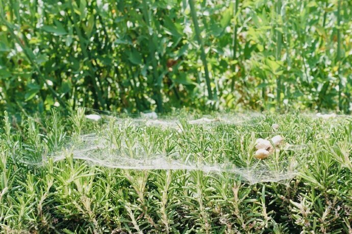 这是我的战争1.1.0补丁发布 新增多处游戏内容|星空·综合体育(图4) 星空·综合体育