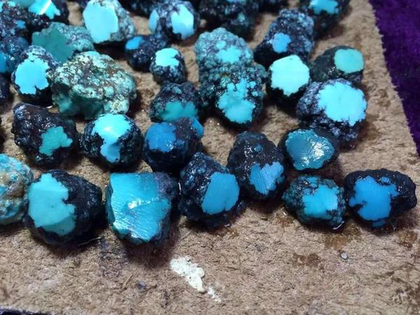 星空·综合体育