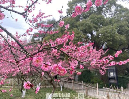 星空·综合体育