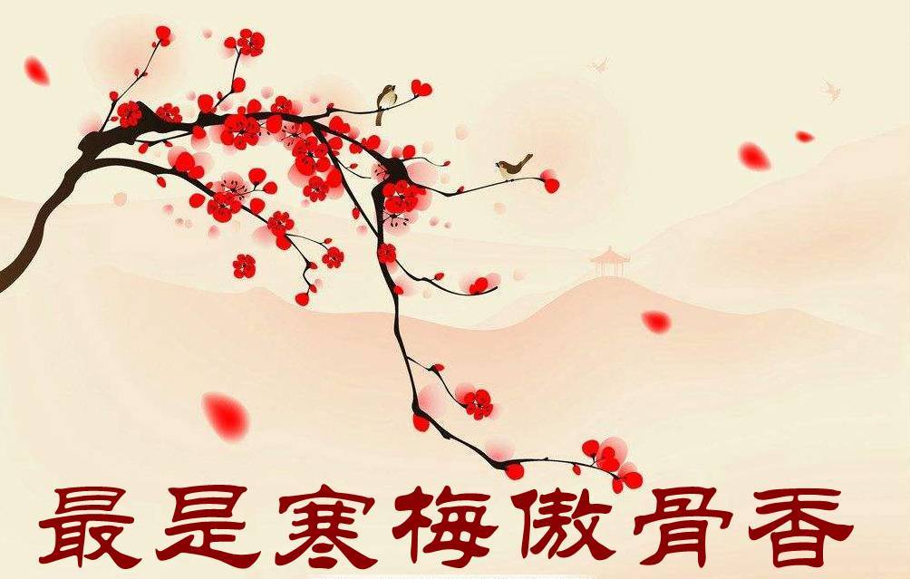 星空·综合体育