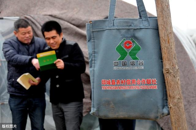 
2020年 关于农村信用社贷款的新政策 都在这里：星空·综合体育(图3)