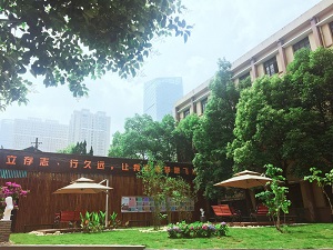 星空·综合体育