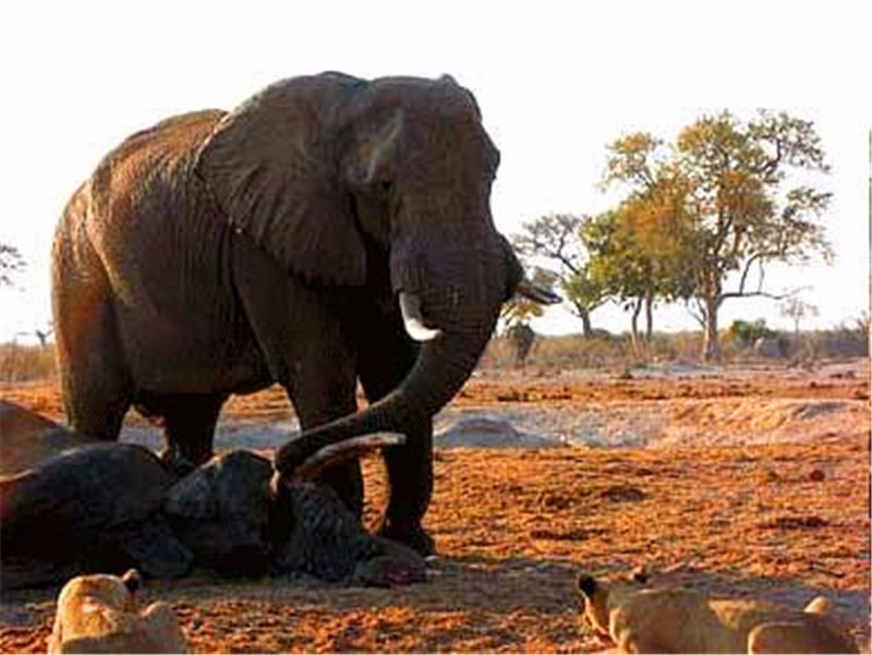 星空·综合体育