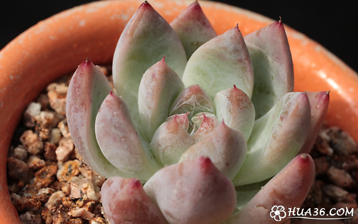 星空·综合体育