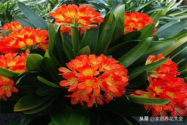 星空·综合体育