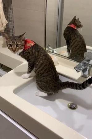 星空·综合体育