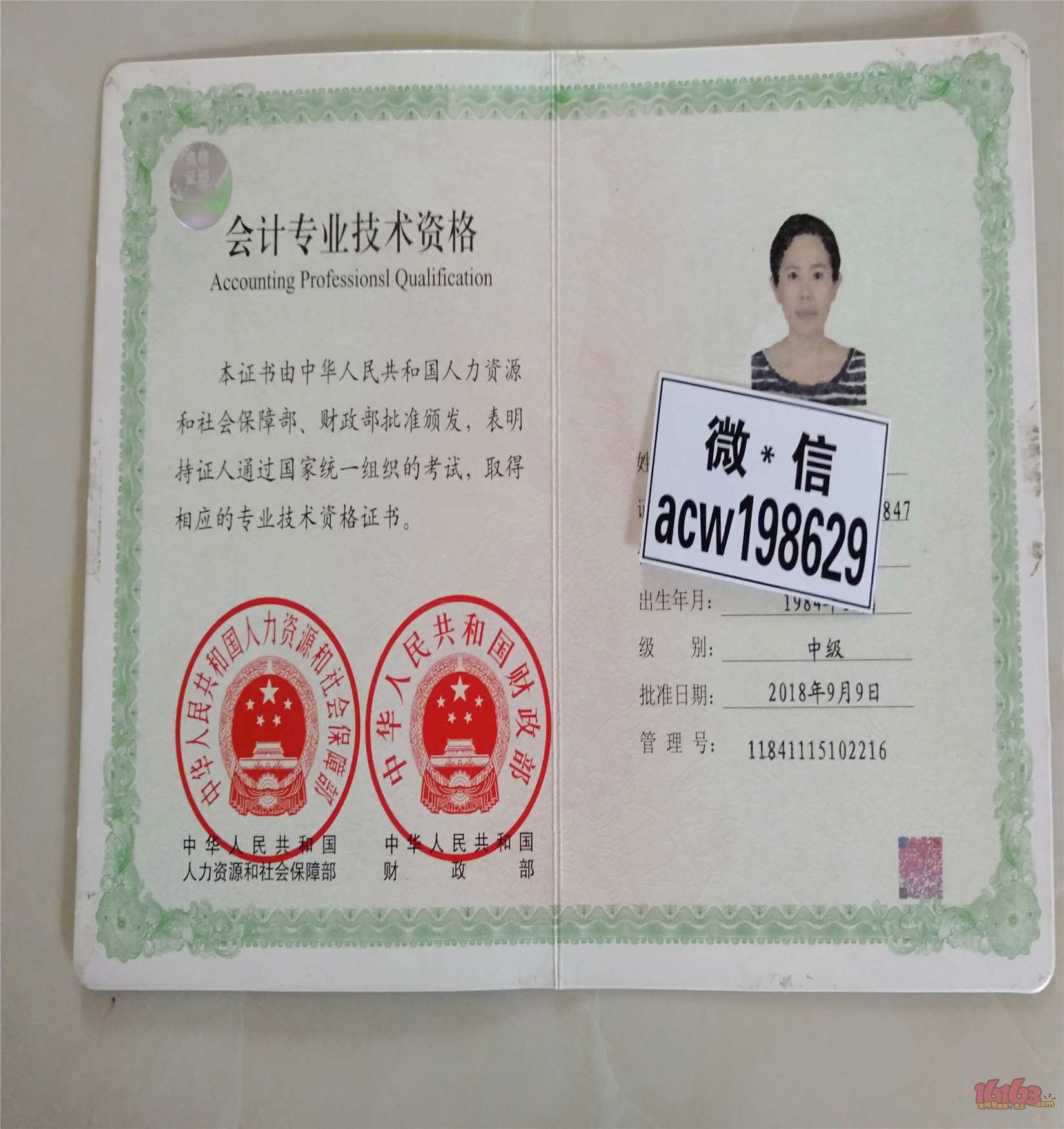 星空·综合体育