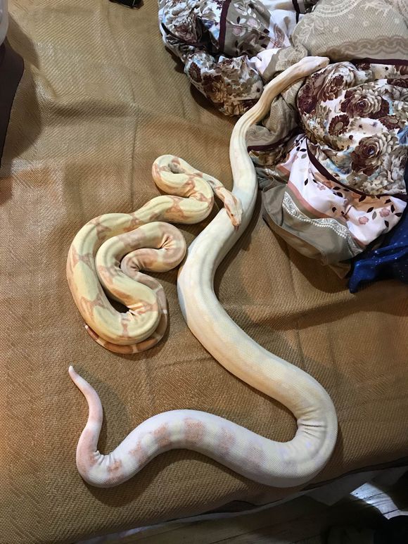 星空·综合体育