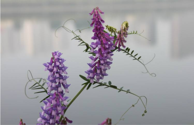 星空·综合体育