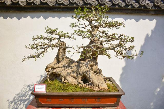 星空·综合体育